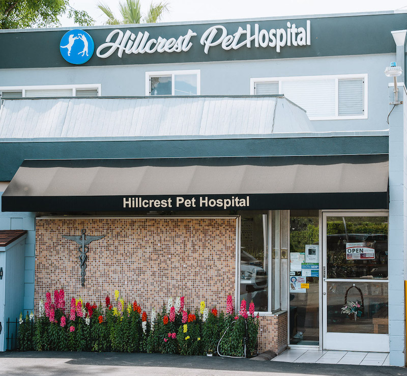 Hillcrest Pet Hospital Veterinarian