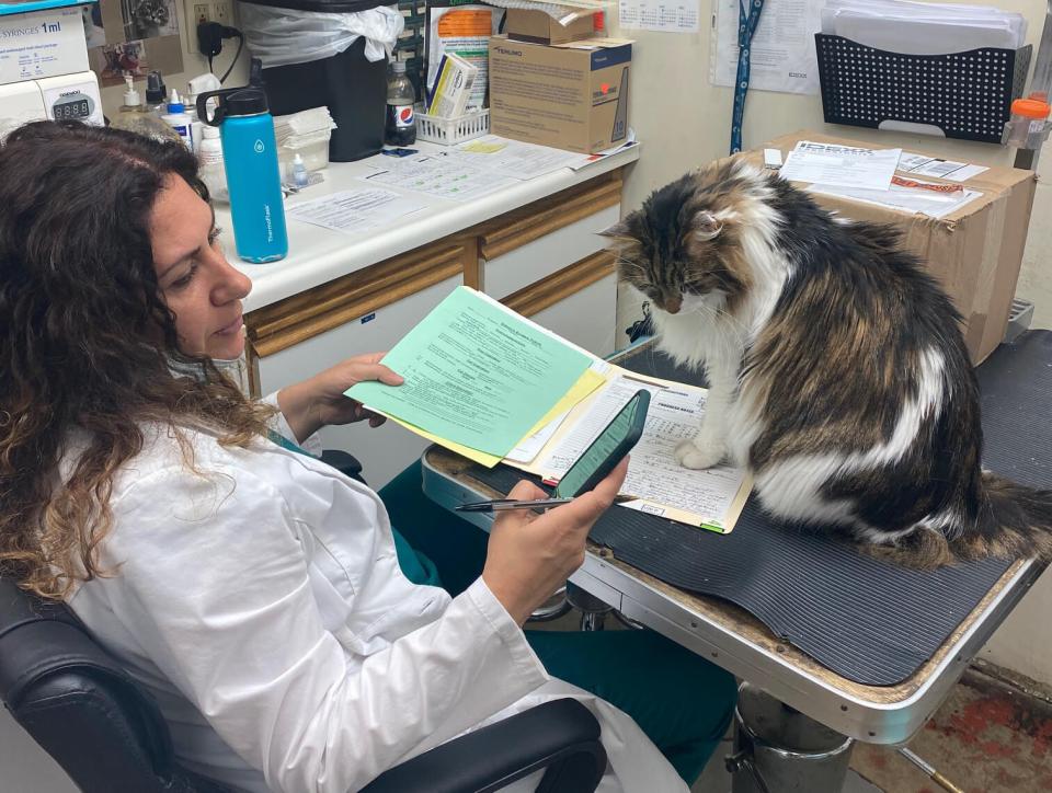odet the vet