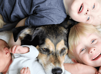 Rainbow Bridge Remembrance Day: How to Prepare Your Kids for Losing a Precious Pet