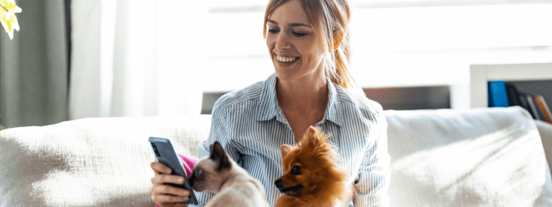 benefits of owning pets in honor of world animal day